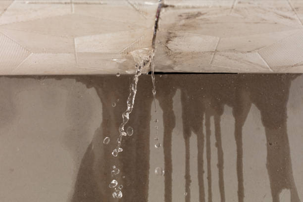Professional Flood Damage Cleanup technician working in Canton, MS